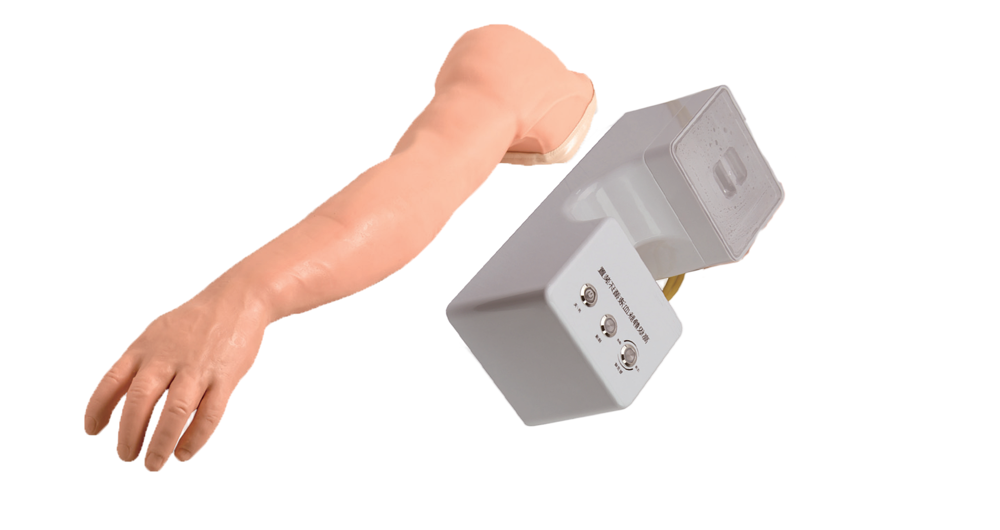 静脉穿刺注射手臂模型 